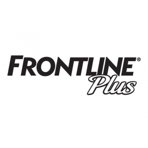 Frontline