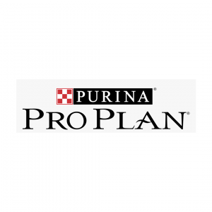 Pro Plan