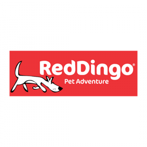 RedDingo